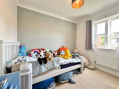 Picture 11